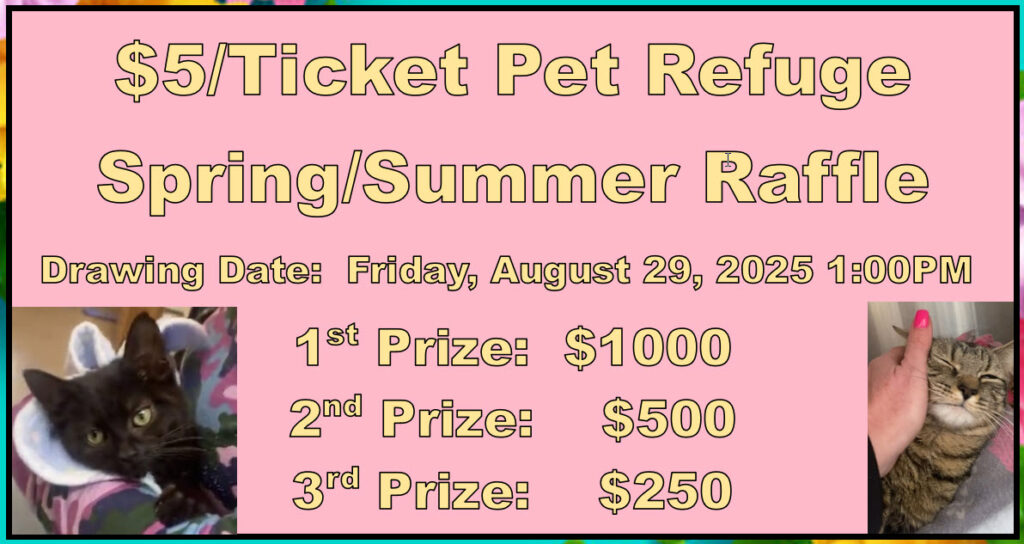 Be our next big winner! Spring/Summer Raffle Tickets are now on sale!