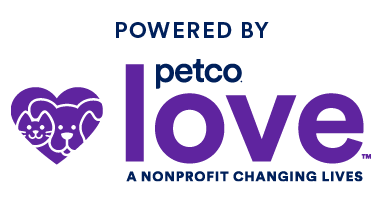 PetCoLove