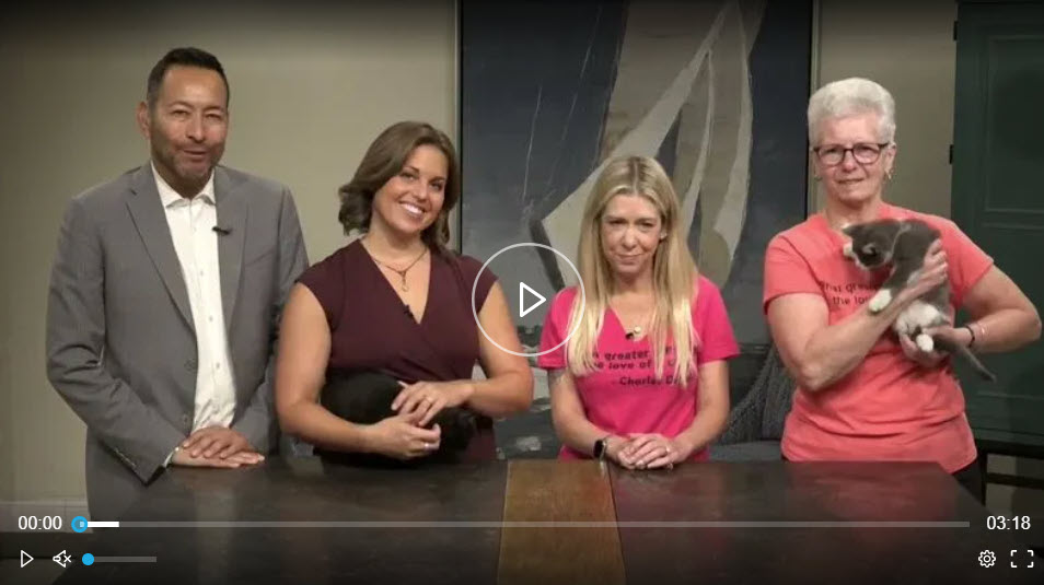 Check out Kristy and Jean on Turn To 10’s Studio 10!