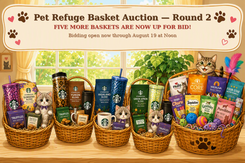 The bidding is open! Get your gift baskets now!	 Another round!